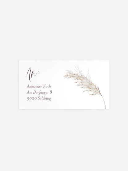 Soft Christmas Soft Christmas