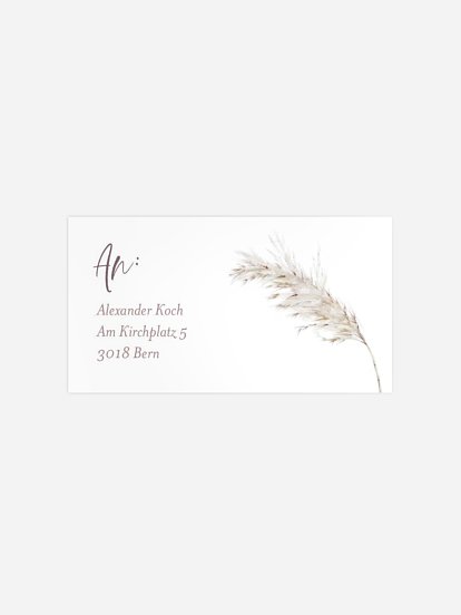 Soft Christmas Soft Christmas