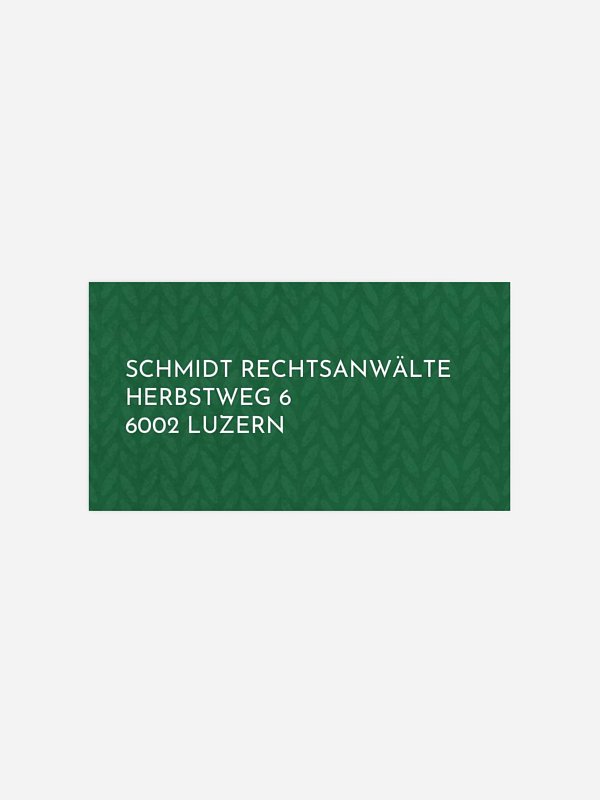Weihnachtsdackel