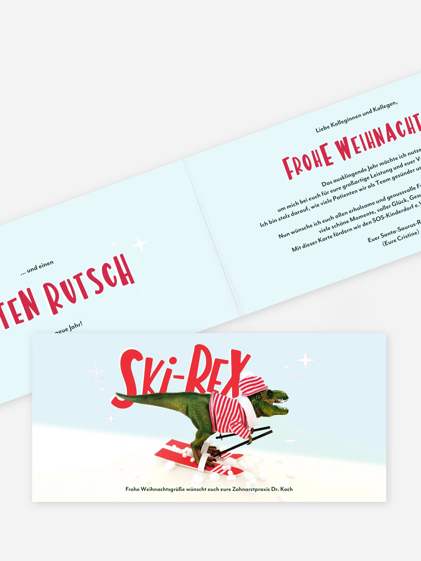 Spendenkarten Geschäftlich Ski Rex