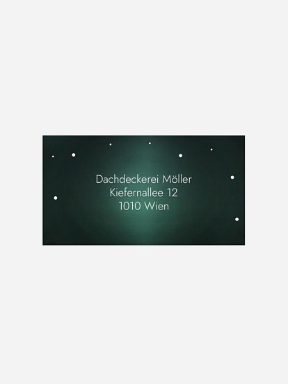 Papiertanne Papiertanne