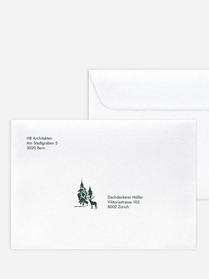 Frosty Forest Frosty Forest