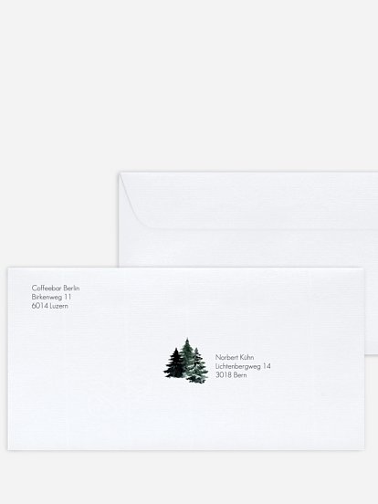 Wald Weihnacht Wald Weihnacht