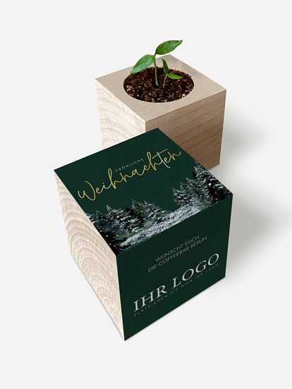 Wald Weihnacht Wald Weihnacht