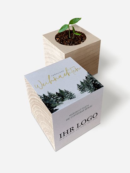 Wald Weihnacht Wald Weihnacht