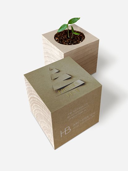 Elegant Tree Elegant Tree