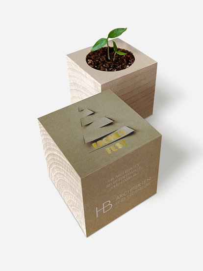 Elegant Tree Elegant Tree