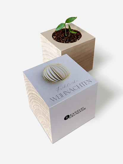 Chili-Pflanze im Holzwürfel Modern Pendant