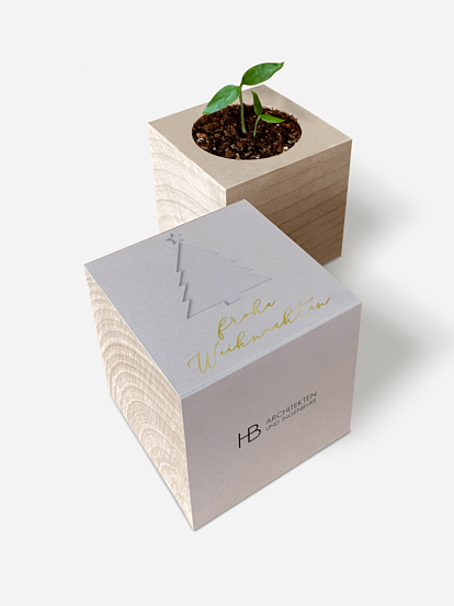 Chili-Pflanze im Holzwürfel Cut-Out-Tree