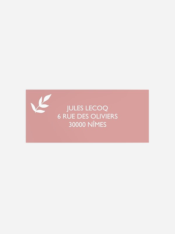 Rameau d'olivier