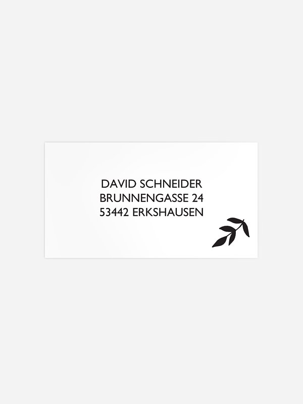 Olivenzweig