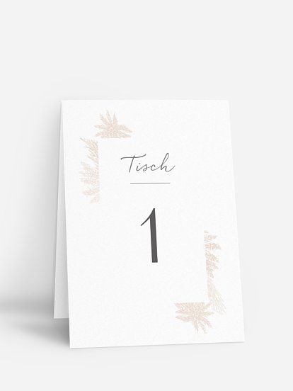 Tischnummer Pampasgras