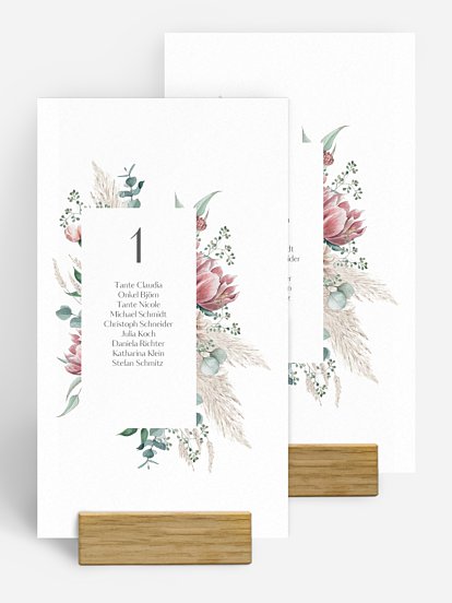 Pampas & Peony Pampas & Peony