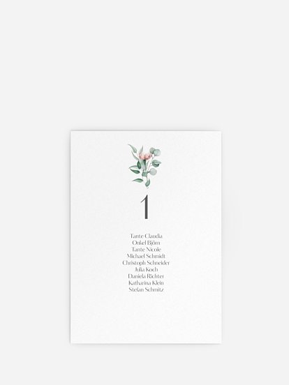 Pampas & Peony Pampas & Peony