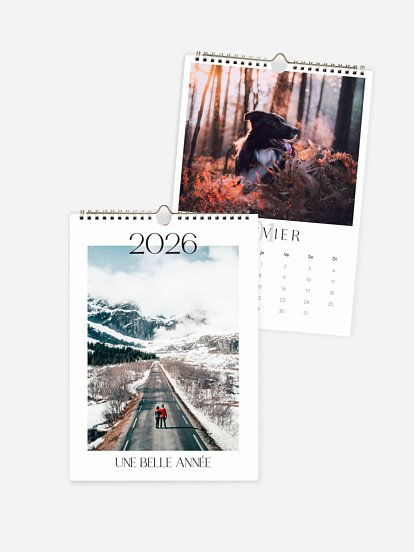 Calendrier mural Projets