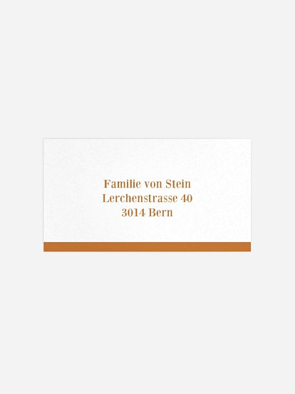 Empfängeraufkleber Weihnachten Neujahrsgrüsse