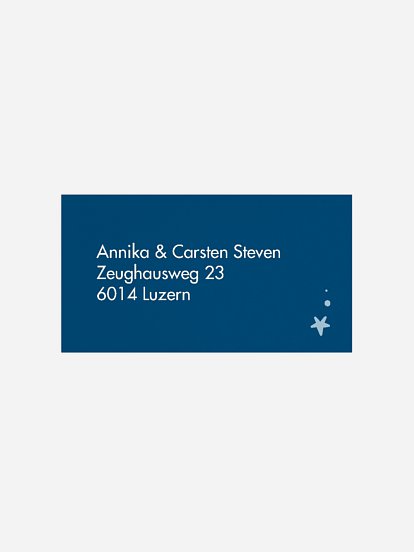 Empfängeraufkleber Weihnachten Festtagspost Premium