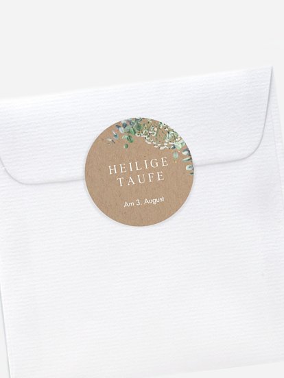 Schleierkraut Schleierkraut