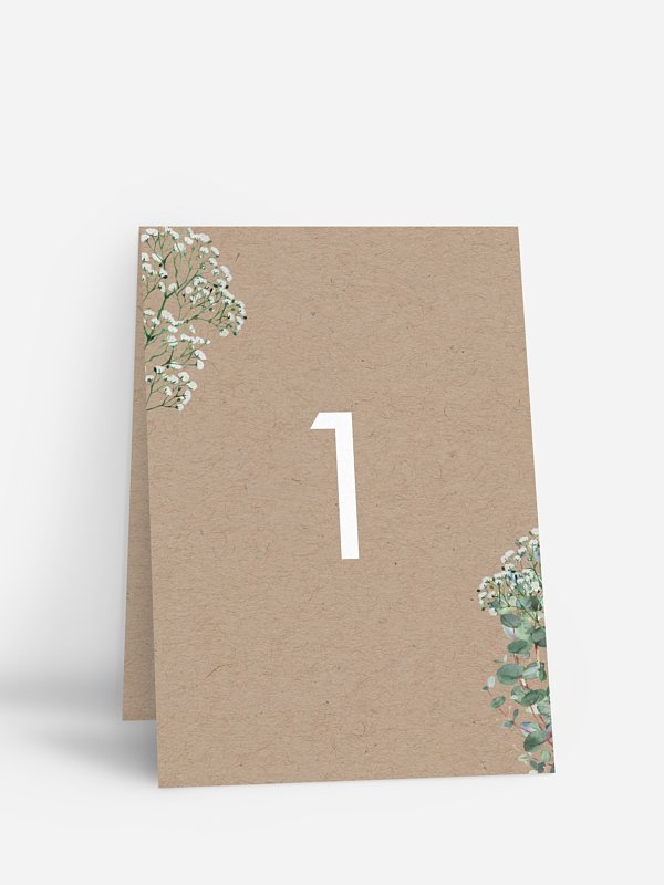 Gypsophile