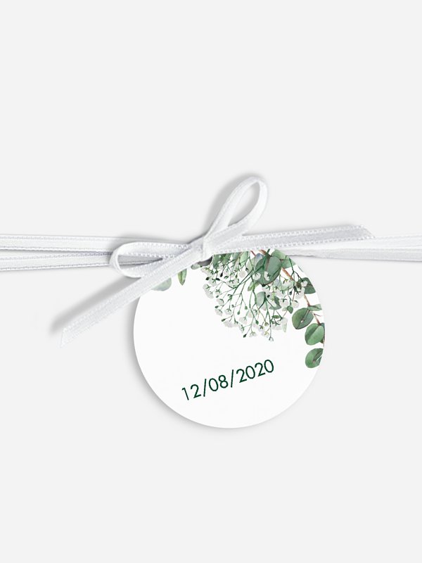 Gypsophile