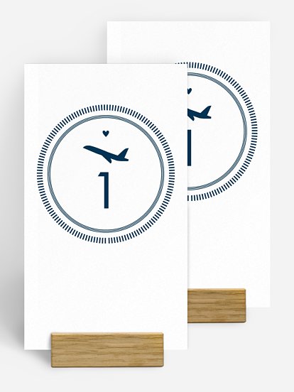 Passeport chic Passeport chic