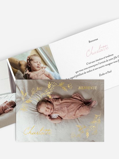 Vigne dorée Vigne dorée