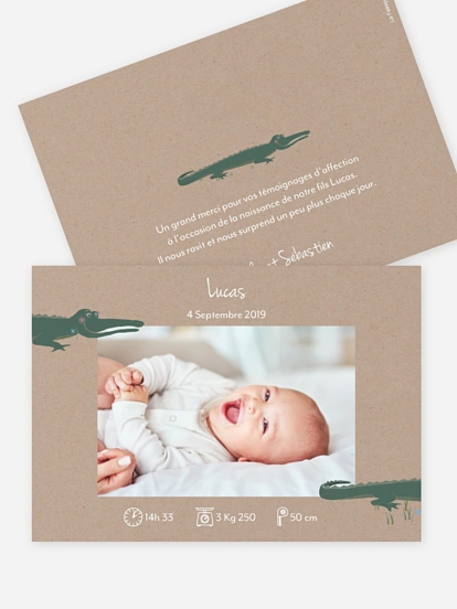 Faire-part naissance Amis de la savane