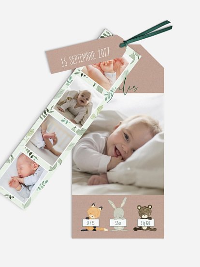 Faire-part naissance Amis de la forêt