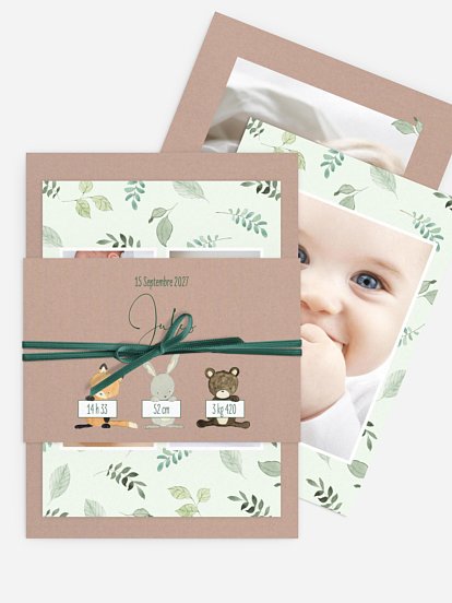 Faire-part naissance Amis de la forêt