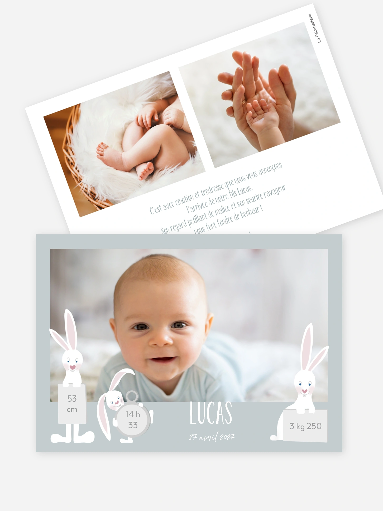 Faire-part naissance Famille de lapins