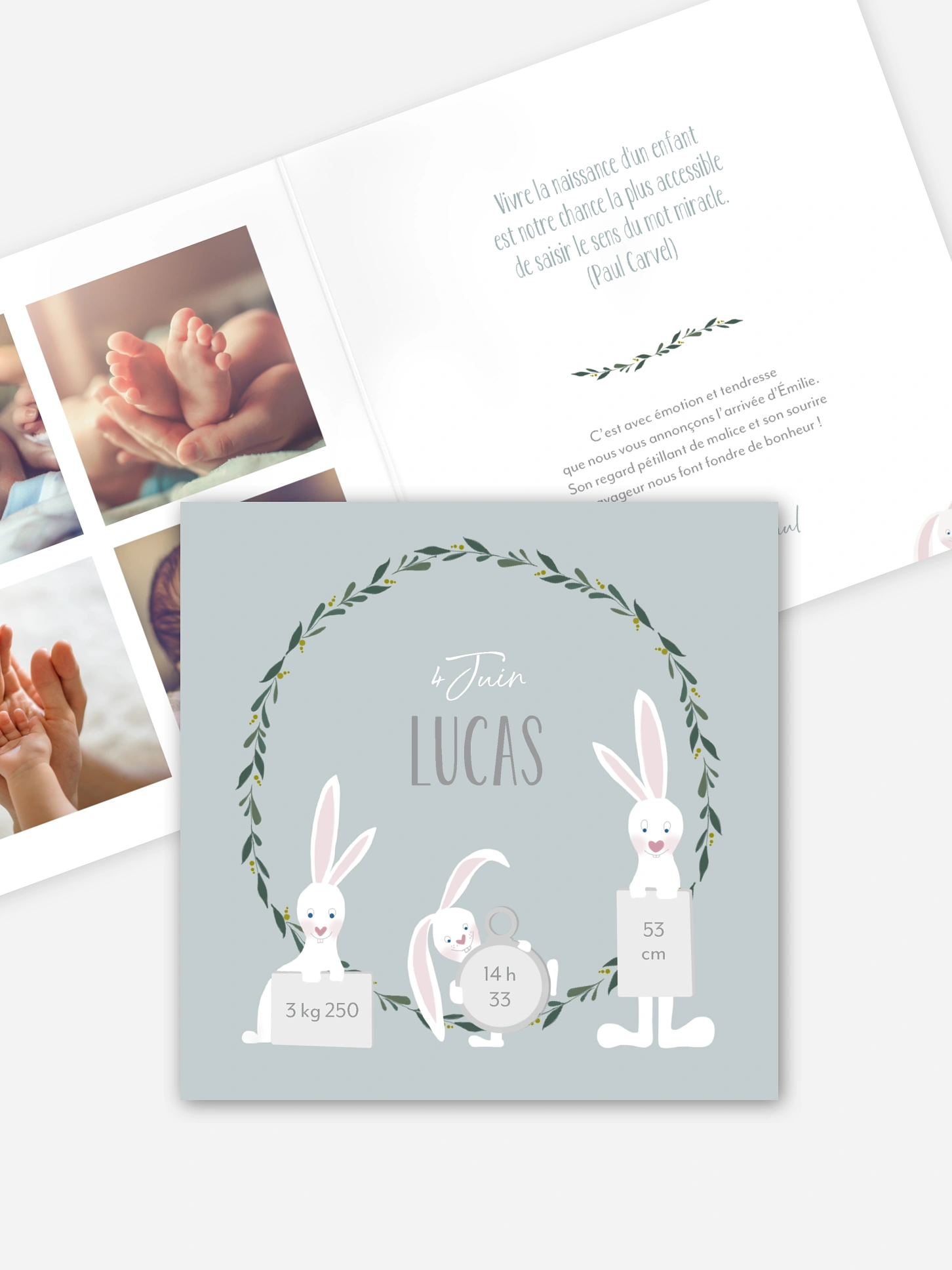 Faire-part naissance Famille de lapins