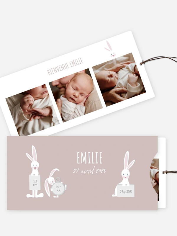 Famille de lapins