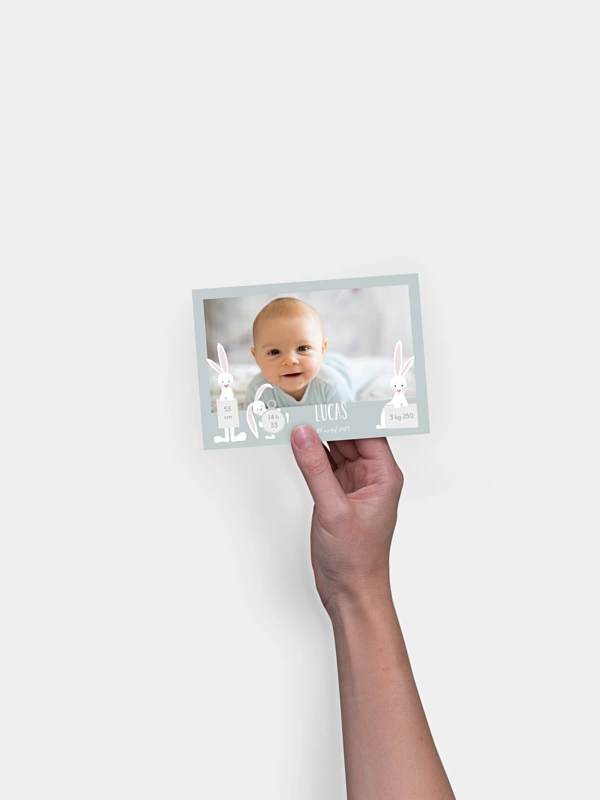 Faire-part naissance Famille de lapins