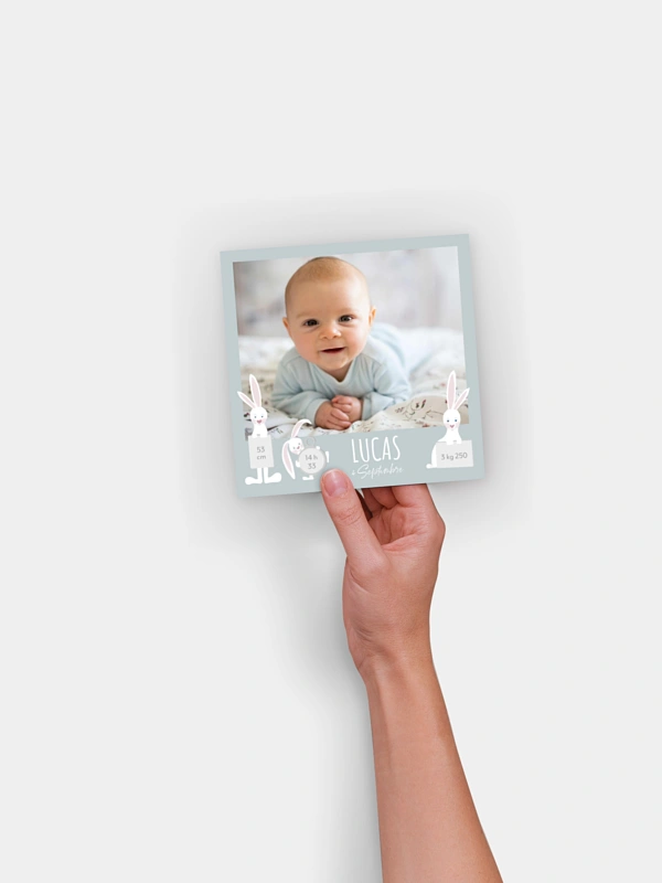 Faire-part naissance Famille de lapins