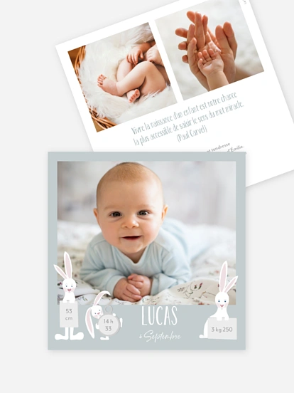 Famille de lapins