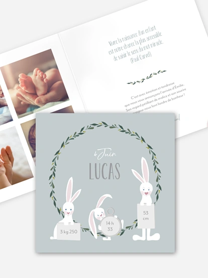Faire-part naissance Famille de lapins