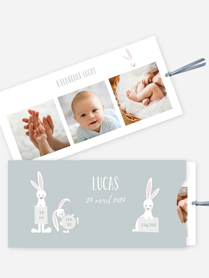 Faire-part naissance Famille de lapins