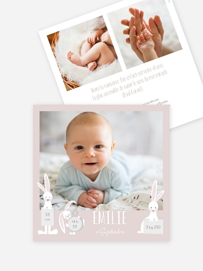 Famille de lapins