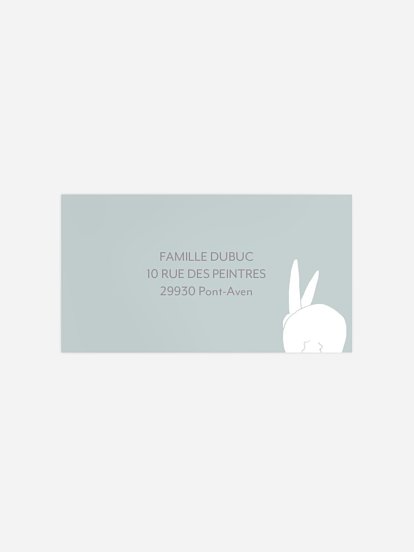 Étiquette destinataire naissance Famille de lapins