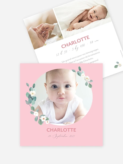 Jeune pousse Jeune pousse