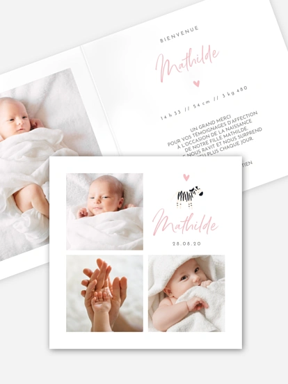 Little Zoo Little Zoo