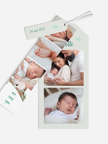 Faire-part naissance Koala endormi