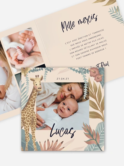 Animaux de la jungle