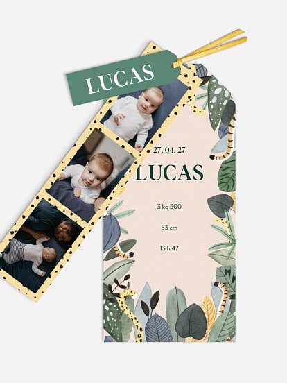 Faire-part naissance Sauvage