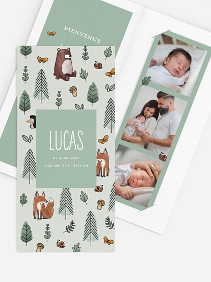 Faire-part naissance Animaux de la forêt