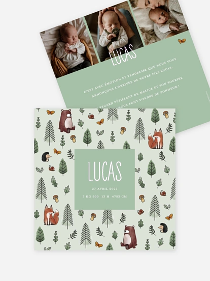 Faire-part naissance Animaux de la forêt