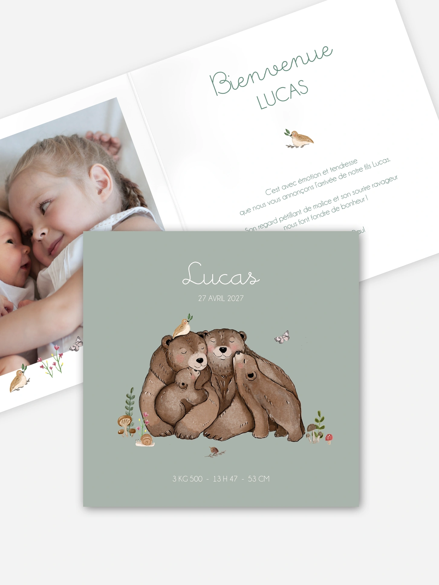 Faire-part naissance Famille ours