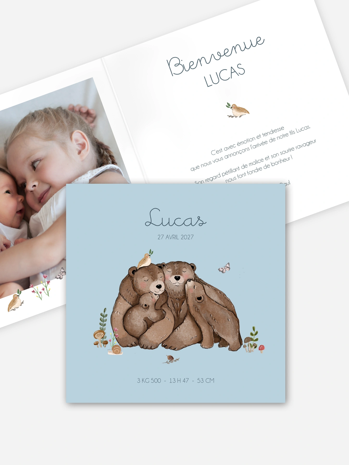 Faire-part naissance Famille ours