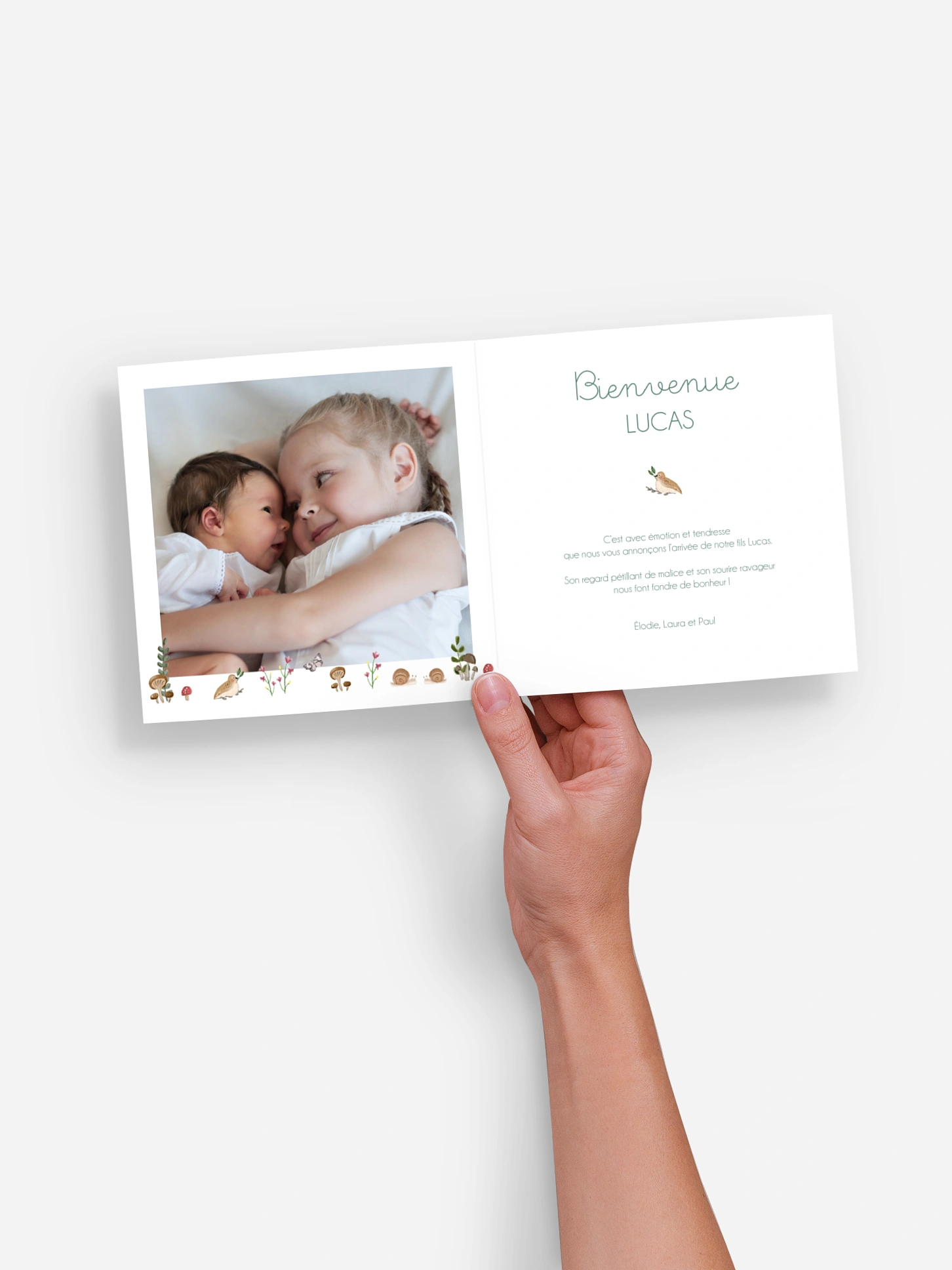 Faire-part naissance Famille ours