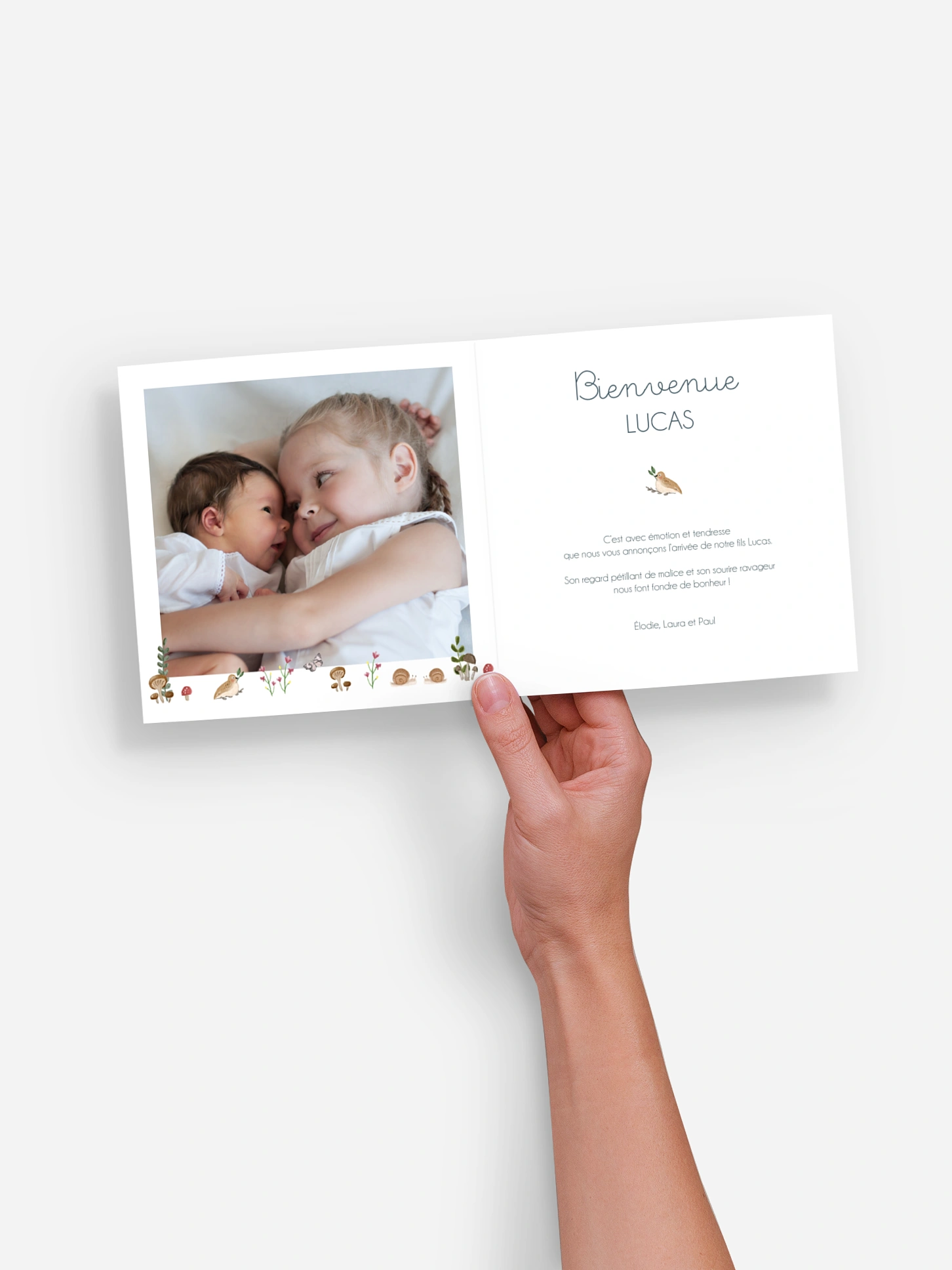 Faire-part naissance Famille ours